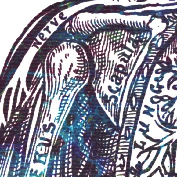 Nervous System Print 8"x10" - Picture 3 of 6